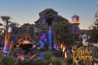 Disneyland getting revamped experience forward of Thanksgiving, months after Disney World